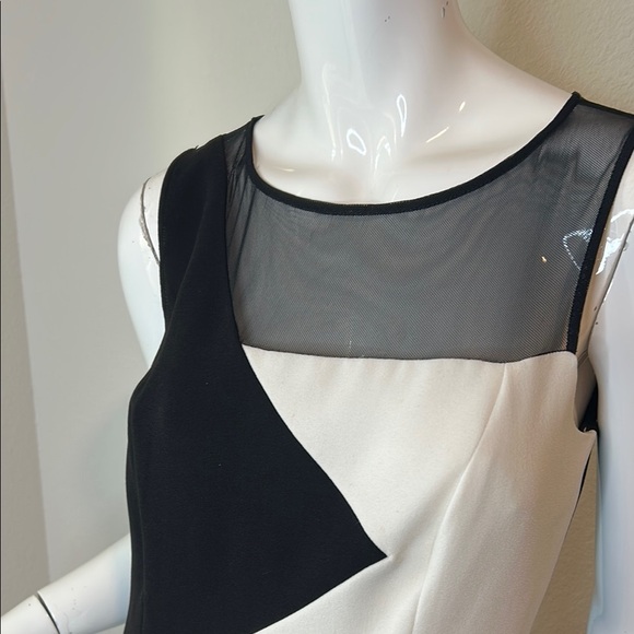 Rickie Freeman for Teri Jon Black and White Asymmetrical Sheath Dress - Picture 2 of 11